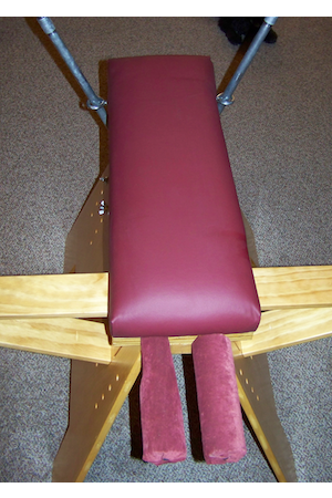 VersaHorse with Pegasus in use